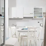 Ampio Attico Monolocale Con Terrazza